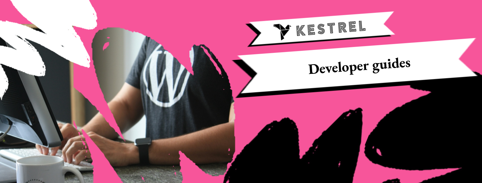 Kestrel developer guide blog post